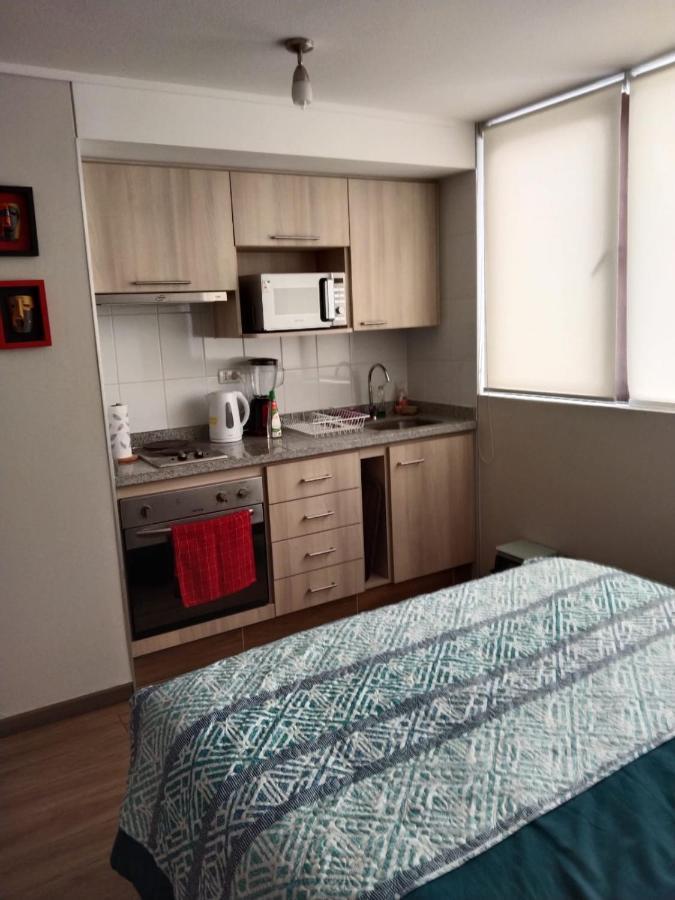 Departamento Nuevo Tipo Estudio En Pleno Centro -8 Apartment Concepción Exterior foto